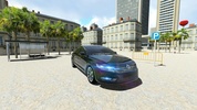 Passat Park Simulator 3D screenshot 6