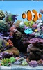Coral Fisch 3D Live Wallpaper screenshot 3