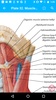 Anatomy Atlas, USMLE, Clinical screenshot 12