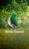 Bird Sounds screenshot 7