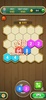 Hexa Block Puzzle screenshot 4