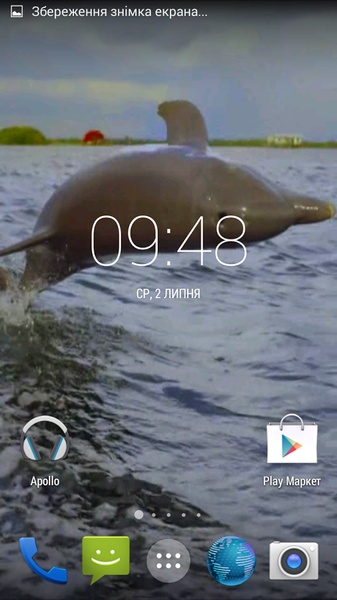 Dolphin 3d. Video Wallpaper - Preview 4