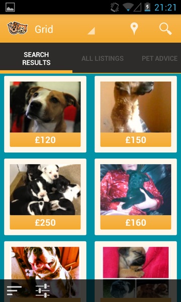 Pets4Homes - Preview 6