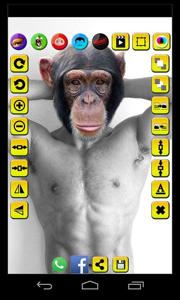 Face Fun - Photo Collage Maker 5 - Preview 9