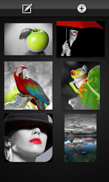 Color Splash FX - Preview 5