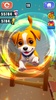 Pet Dog Dash Runner screenshot 3