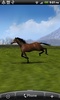 VA Horse Wallpaper LITE screenshot 4