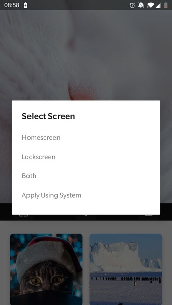 WallCandy - Preview 5