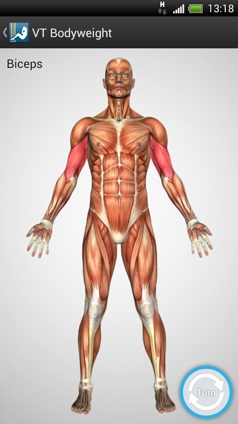 VT Bodyweight - Preview 11