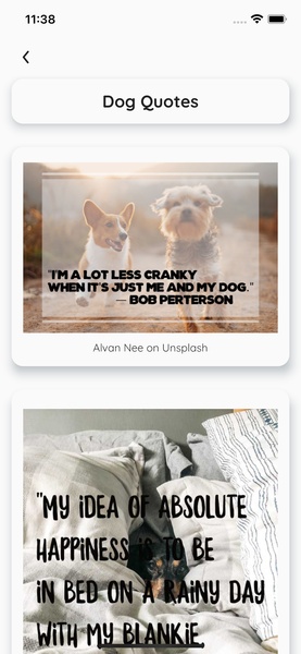 DoggoTheLove - Preview 2