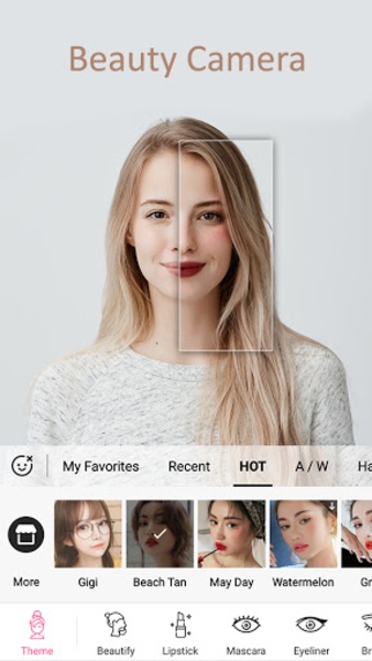 XFace - Preview 7