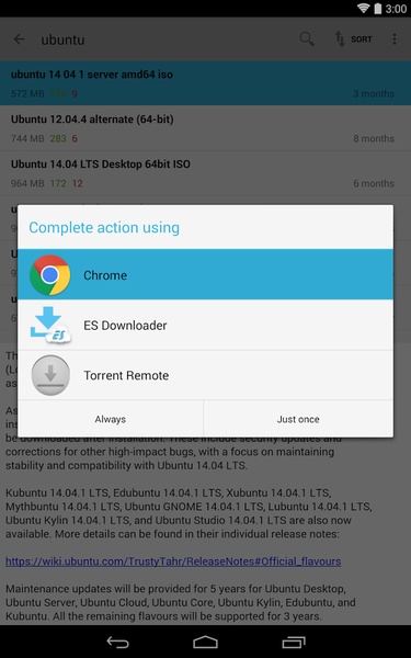 Torrent Search - Preview 14
