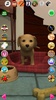 Sweet Talking Puppy: Funny Dog screenshot 1