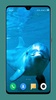 Dolphin Wallpaper HD screenshot 14