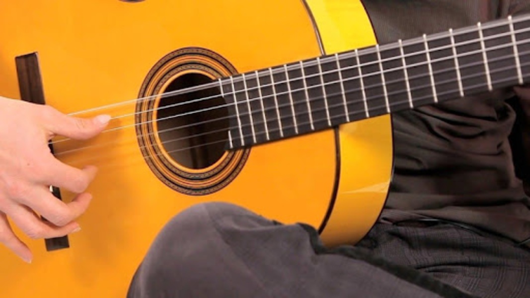 guitar (twelve wire) - Preview 4
