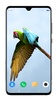 Bird Wallpaper 4K screenshot 10