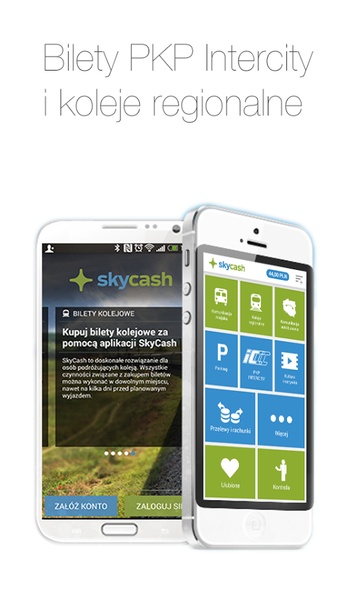SkyCash - Preview 5