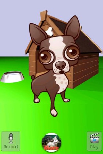 Talking Chihuahua - Preview 2
