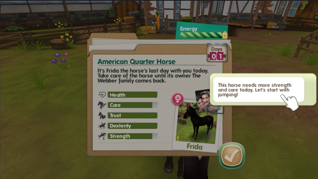 HorseHotel - Care for horses - Preview 2