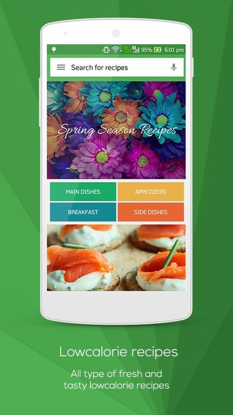 Low Calorie Recipes - Preview 17