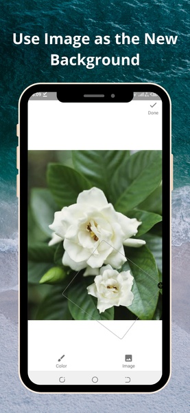 Batch BG Remover - Preview 6