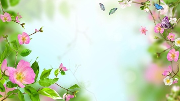 Flowers Live Wallpaper 5 0 用 Android ダウンロード