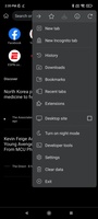 Kiwi Browser screenshot 6