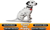 Guess The Puppy Breed Trivia screenshot 3