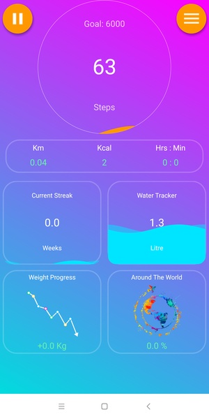 EasyFit Pedometer - Preview 1