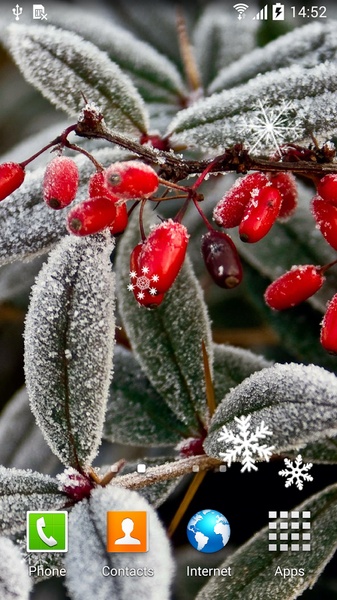 Frozen Flowers Live Wallpaper - Preview 6