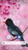 Bird Wallpaper HD screenshot 10