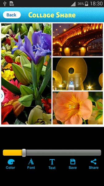 Collage Share - Preview 2