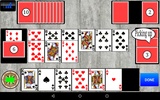 Durak screenshot 1