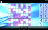 16x16 Sudoku Challenge screenshot 2