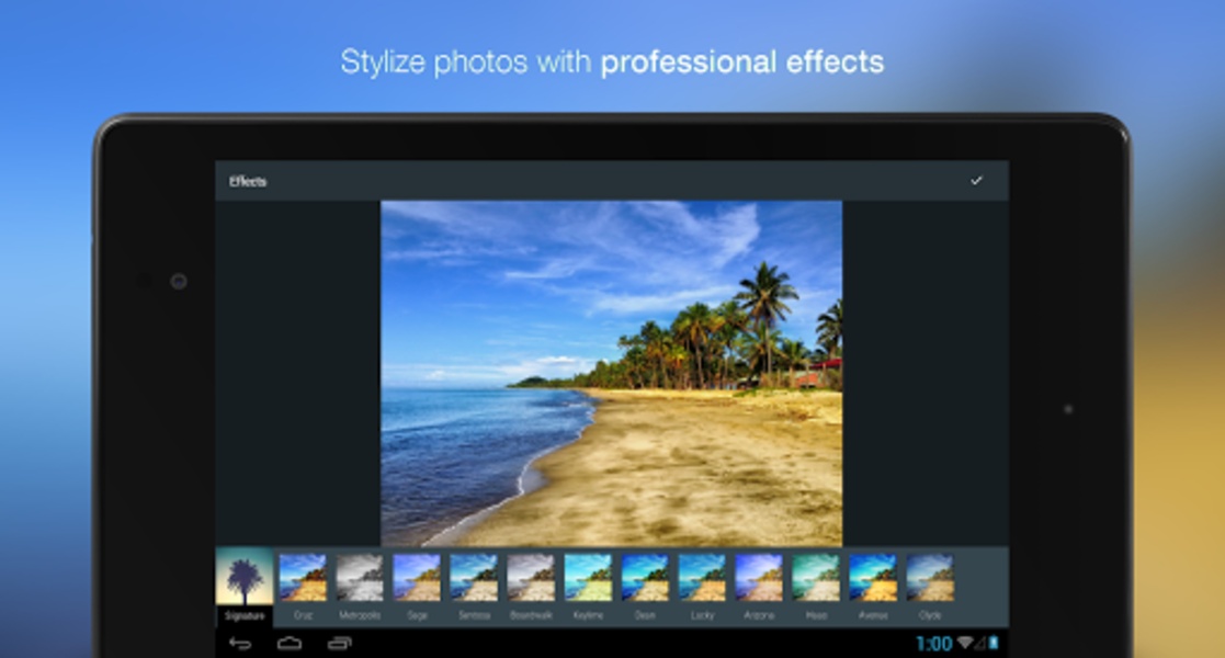 Professional Photos - Preview 4