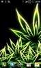 Weed Wallpapers screenshot 1