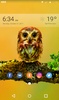 Baby Owl Animated Keyboard + Live Wallpaper screenshot 1