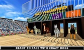 Wild Greyhound Dog Racing screenshot 8