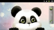 Panda Chub Live Wallpaper Free screenshot 1