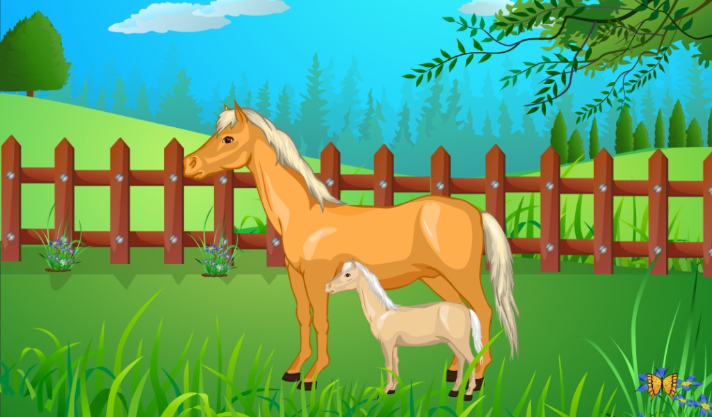 Horse Baby Birth - Preview 1
