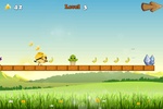 HoppingBird Deluxe screenshot 2