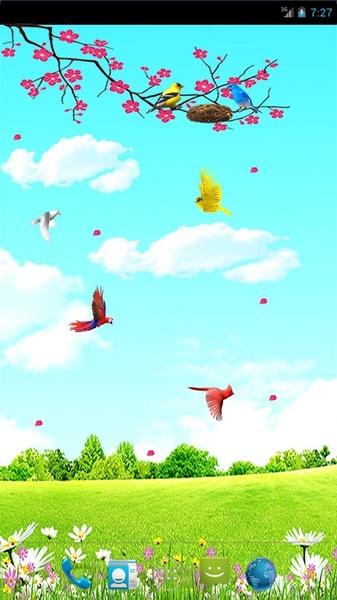 Sky Birds (free) - Preview 9