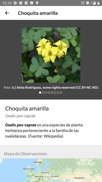 iNaturalist - Preview 5