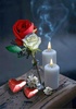 romantic wallpapers screenshot 7