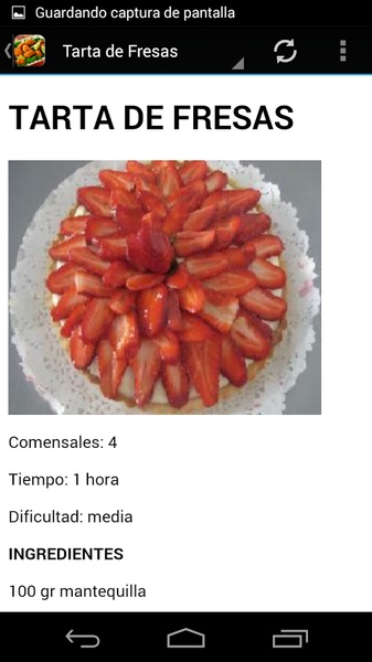 Recetas de cocina - Preview 3