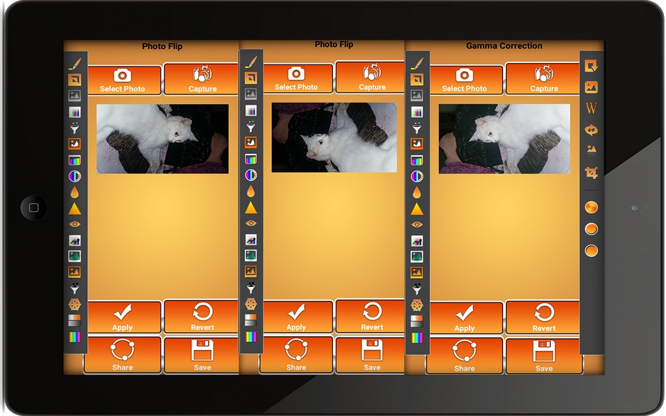 Perfect Photo Editor - Preview 2