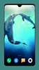 Dolphin Wallpaper HD screenshot 12