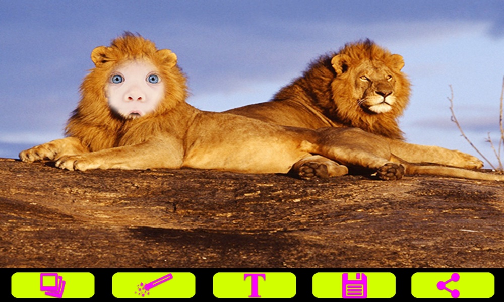 Lion Photo Frames - Preview 4