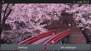 Sakura screenshot 3