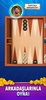 Masters Of Backgammon screenshot 12